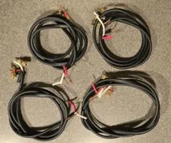 Item thumbnail for item 624ee86e-350c-42fc-974e-25af9a89392f