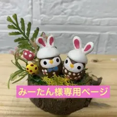 huiliujing62様専用ページ】どんぐりアート - メルカリ
