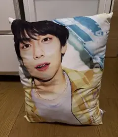 テソン D-LITE うでまくら 腕枕 枕カバー まくらカバー 枕 - メルカリ
