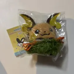 韓国限定　ポケモン　ポップアップ　ヘアピン　スマートトック　セット　ライチュウ 韓国限定 ポケモン ポップアップ ヘアピン スマートトック セット