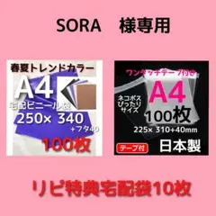 ❤︎SORA❤︎様専用　透けない⭐️宅配ビニール袋 a4