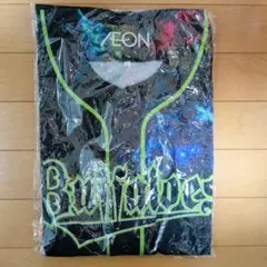 Item thumbnail for item d3fcb1fc-f031-4c4f-9622-1be60cdf300a