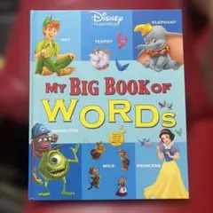 ディズニー英語システム MY BIG BOOK OF WORDS - メルカリ