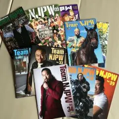 Team NJPW Vol.41 公式ファンクラブ会報誌 - メルカリ