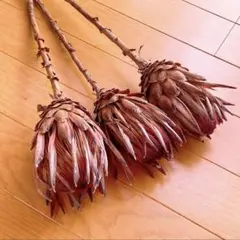 ヨッシー様 リクエスト 2点 まとめ商品