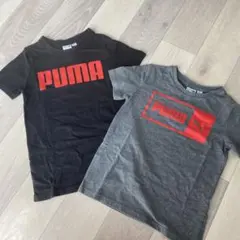 PUMA Tシャツ　2枚セット