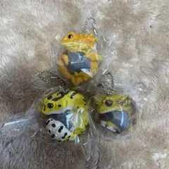 レオパードゲッコー3 ガチャガチャ