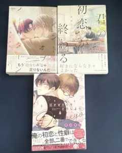 BL コミック 3冊まとめ売り ☆匿名配送