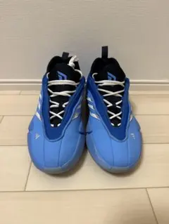 adidas デイム9 多少汚れありますがまだまだ履けます！ 値下げ交渉可能