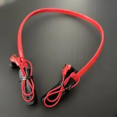 【希少品】Skullcandy ワイヤレスイヤホン Ink'd Wirelessのサムネイル