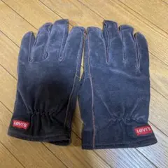 2025年最新】Levi's メンズ 手袋の人気アイテム - メルカリ