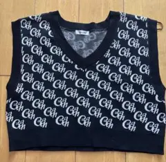 新品INGNIロゴ入りクロップド丈ニットベスト