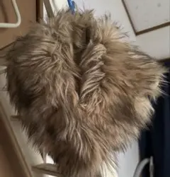 INGNI ファーティペット