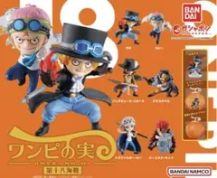 即購入歓迎✨ワンピの実第十八海戦　コビー