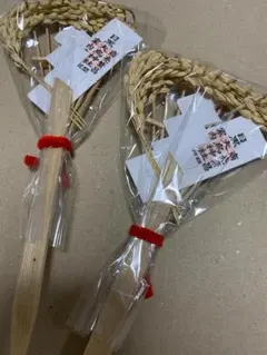 Item thumbnail for item 787faa32-717d-4f3d-b49e-21923036b4ac