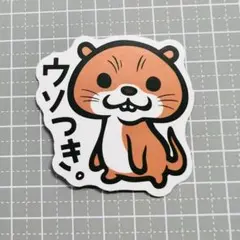 シロムスメ♂様 リクエスト 3点 まとめ商品