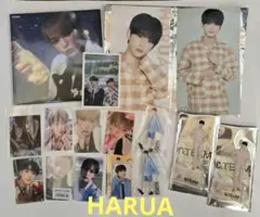 &TEAM エンティームなかよしセット　☆HARUA☆