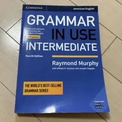 Grammar in Use Intermediate 第四版