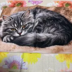 【新品未使用品】猫 デザイン 玄関マット
