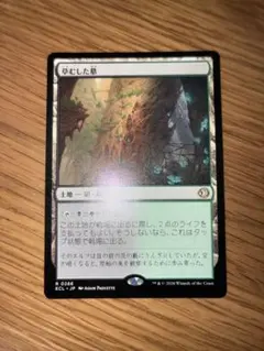 MTG 草むした墓