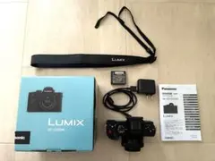 LUMIX DC-G100DK レンズキット(レンズフィルタ液晶保護フィルム付)