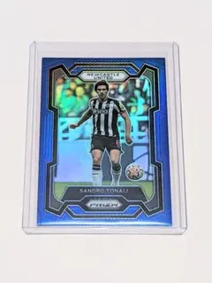 panini prizm ニューカッスル・ユナイテッド トナーリ 299シリ