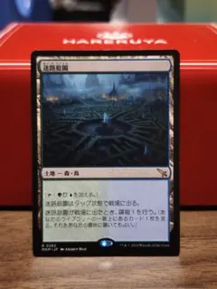 MTG Hedge Maze 迷路庭園