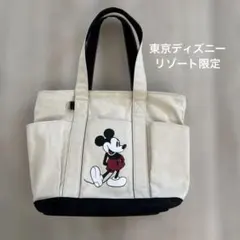 東京ディズニーリゾート 公式 トートバッグ