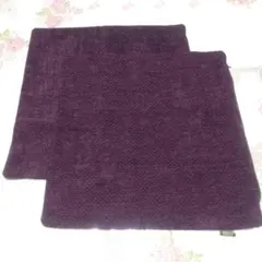 CAINZ クッションカバー ２枚セット