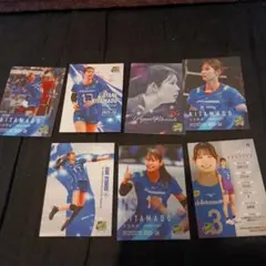 Item thumbnail for item 9ed23338-7886-42c4-a070-2e9ca1dda3dd