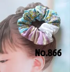 Item thumbnail for item 1fc00ca2-e39b-4ee6-a703-e3e7a65cdc24