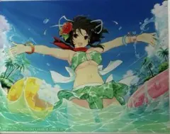シノビマスター 閃乱カグラ NEW LINK ビジュアルアクリルプレート 牛丸