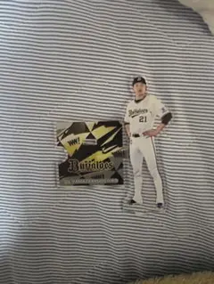 いるか様 リクエスト 2点 まとめ商品