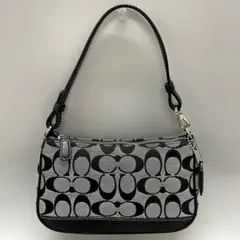 コーチ COACH 6094 美品 シグネチャー アクセサリーポーチ 黒