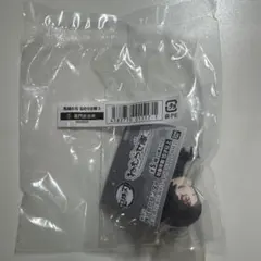 鬼滅の刃　竈門炭治郎　ねむらせ隊