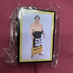 【匿名配送】明け荷キーホルダー 一山本 大相撲ガチャ