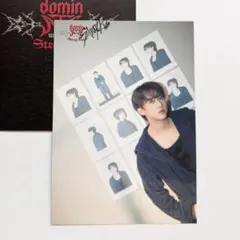 ラントレ チャンビン dominATE Japan スキズ straykids