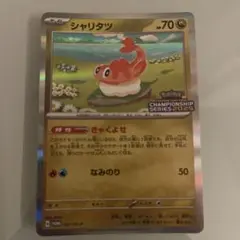 シャリタツ　CL2025 プロモ