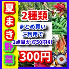 野菜の種【2種類】⭕️のサムネイル