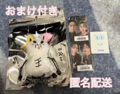 2025年最新】メンプロ リノの人気アイテム - メルカリ