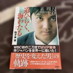 Item thumbnail for item b4832f3d-1a61-4e2b-90c7-2653c2247878