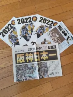 阪神タイガース 2023優勝記念 クリアファイル 読売新聞号外 - メルカリ