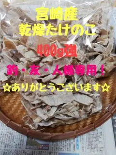 釣・友・人様専用！！宮崎産 乾燥たけのこ400g強