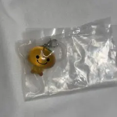 サンエックスユニバース マスコットチャーム めじるしアクセサリー みかんぼうや