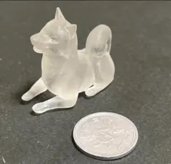 コロコロジョン様専用ページ (*´꒳`*)