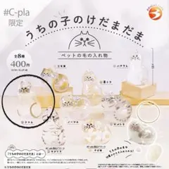 うちの子のけだまだま　シャム