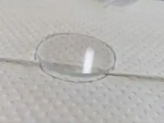 Item thumbnail for item 5c792e5a-2ac5-465d-99a2-9bb3396295b8