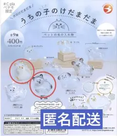 うちの子のけだまだま　柴犬　黒柴　セット　ガチャ