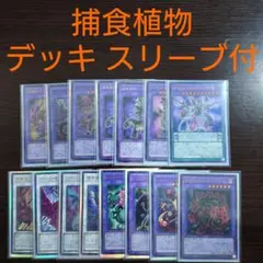 スリーブ付】遊戯王 トゥーンデッキ 大会構築 リンクデコーダー 霊王の