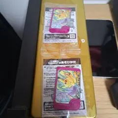 ポケモンフレンダ ピカチュウ＆ミューツー イオン限定